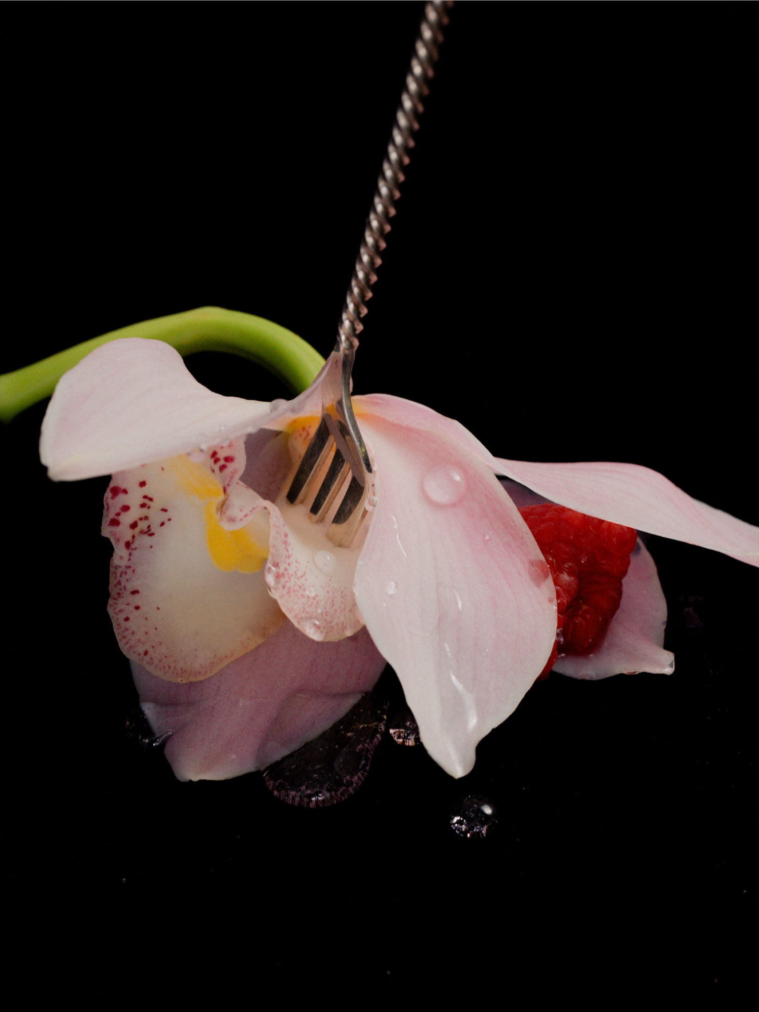 Flower Eater Eau de Parfum