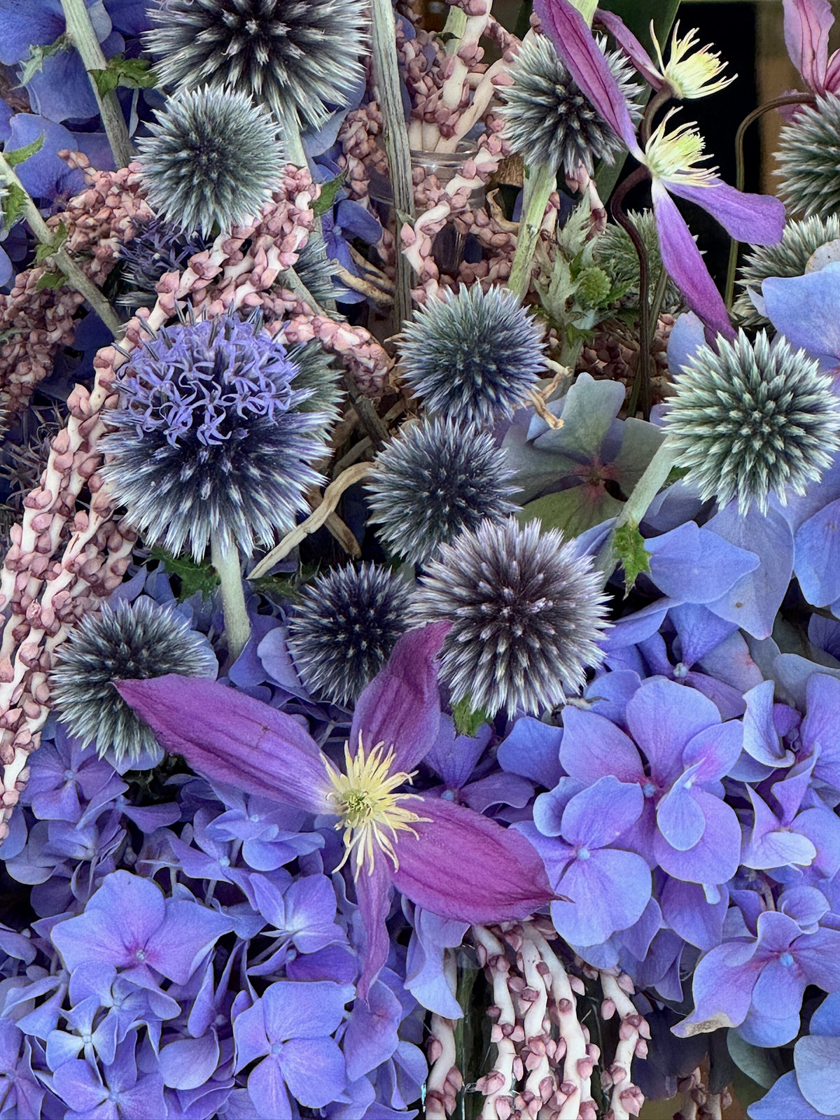 Purple globe thistle and wildflowers