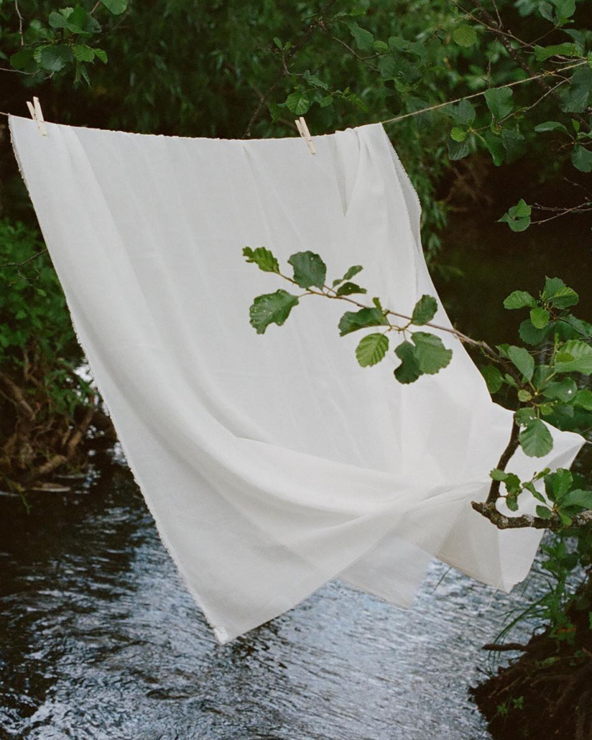 White linen hanging over a stream beside green leaves