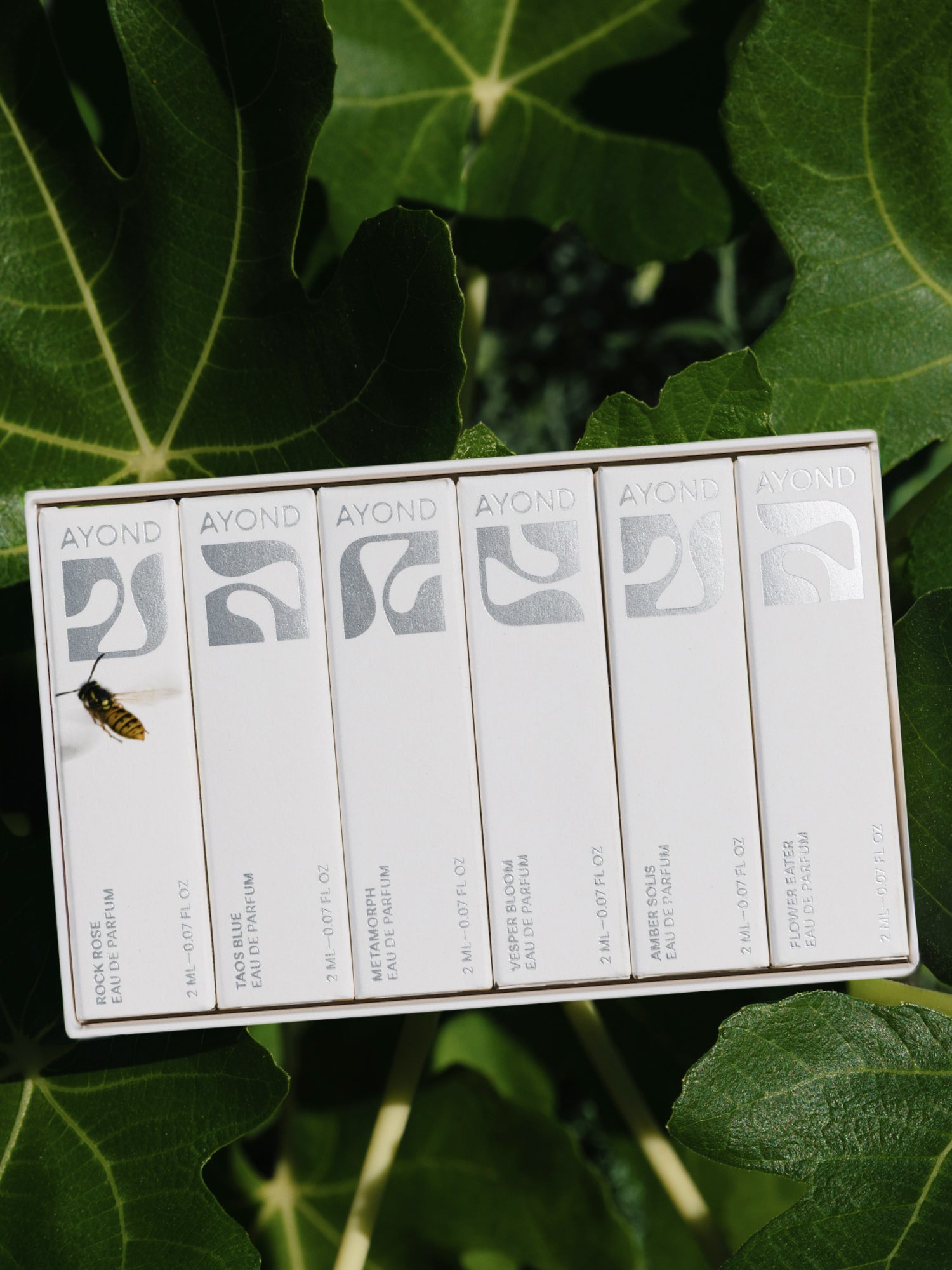 Fragrance Discovery Set | Natural Perfume Sample Set | AYOND